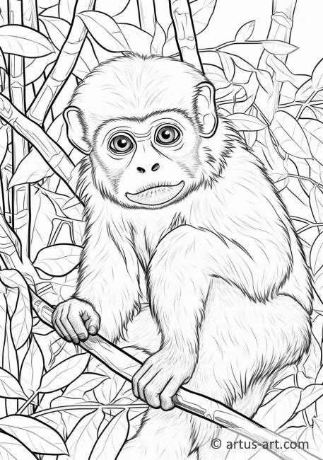 Spider monkey Coloring Page For Kids